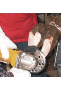 Obrázok pre Brusný a řezný kotouč segmentový 6Cut na kopyta a paznehty