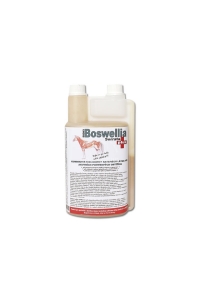 Obrázok pre DROMY Boswellia Serrata Plus 1000ml s protizánětlivými a imunomodulačními účinky na koně