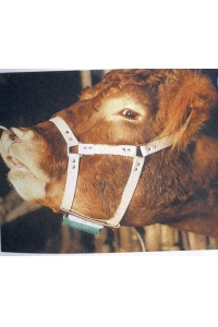 Obrázok pre Býčí ohlávka kožená pro značení krav v říji