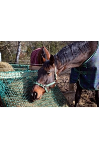 Obrázok pre Síť na seno velká na krmení koní 0,95 x 1,5 m - kapsa s úvazky délky 2 m