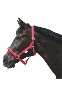Obrázok pre Ohlávka pro koně nylonová s bandáží barva bordó velikost 3