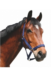 Obrázok pre Ohlávka pro koně nylonová s bandáží barva modrá velikost 2