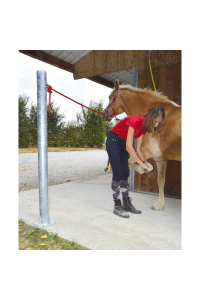 Obrázok pre Sloupek s okem vhodný pro uvázání koně La GÉE výška 1,6 m