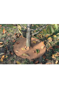 Obrázok pre Kokosový disk mulčovací kruh průměr 25 cm k ovocným stromům