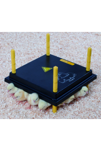Obrázok pre Výhřevný panel HEN pro 15-20 kuřat 13W, umělá elektrická kvočna 25 x 25 cm