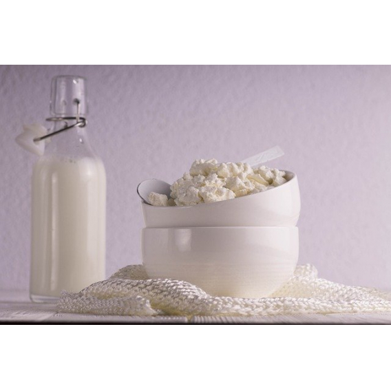 Obrázok pre Sada na domácí mléčné výrobky měkké sýry, zákys, tvaroh, jogurt, kefír pro začátečníky