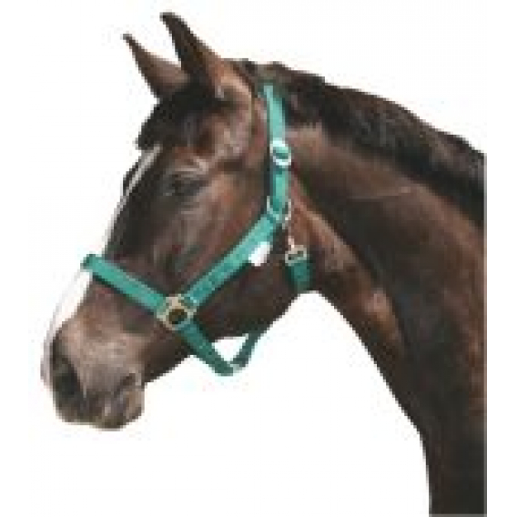 Obrázok pre Ohlávka pro koně nylonová s bandáží barva zelená velikost 3