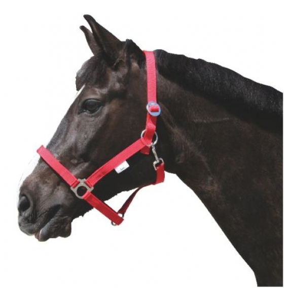 Obrázok pre Ohlávka pro koně nylonová s bandáží barva bordó velikost 3