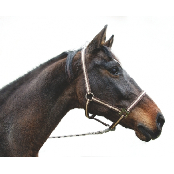 Obrázok pre Ohlávka pro koně nylonová Hippo velikost 2 barva bordó/béžová