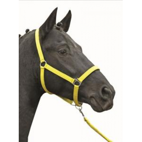 Obrázok pre Stájová ohlávka pro koně HKM Stars Softice žlutá, velikost 1/pony
