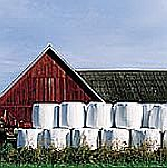 Obrázok pre Senážní fólie Triowrap 500x0,025x1800 m bílá