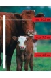 Obrázok pre Sada na elektrický ohradník pro dospělý hovězí dobytek (skot) 2000 m