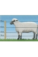 Obrázok pre Sada na elektrický ohradník pro ovce 500 m
