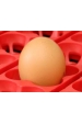 Obrázok pre Poloautomatická digitální líheň na kuřata, drůbež COVINA SUPER 49 s dolíhní