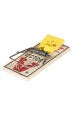 Obrázok pre Past na myši s pachem sýra Victor® Easy Set M035 balení 2 ks