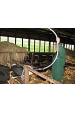 Obrázok pre Drenčovací pumpa Drench-Mate pro krávy