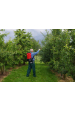 Obrázok pre Aku zahradní zádový profi tlakový postřikovač Birchmeier REC 15 AC1 15 l na záda