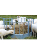 Obrázok pre Krmelec na seno kruhový pro ovce a kozy Pasdelou rovné příčky průměr 1,64 m dvoudílný