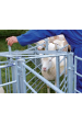 Obrázok pre Třídící branka PASDELOU pro ovce hloubka 0,62 m kompatibilní s ohradními panely PG102