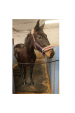 Obrázok pre Stájová rohož zátěžová oboustranná izolační 120 x 80 x 2,3 cm pro koně, skot a psy