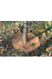 Obrázok pre Kokosový disk mulčovací kruh průměr 25 cm k ovocným stromům