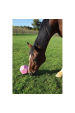 Obrázok pre Míč na pamlsky pro koně, hračka pro koně La Gée, průměr 22,5 cm objem 3,5 l barva růžová