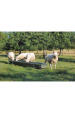 Obrázok pre Krmný plastový žlab La GÉE Junior 2 x 0,45 m na nožičkách pro telata, ovce, kozy