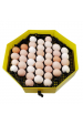 Obrázok pre Otočný rošt na slepičí vejce pro líhně na kuřata, drůbež Cleo 5 pro 41 ks slepičích vajec