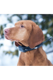Obrázok pre GPS lokátor pro psy Dogtrace DOG GPS X20, GPS obojek pro psy dosah 20 km