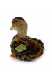 Obrázok pre Plyšová kachna divoká Rappa velikost 19 cm